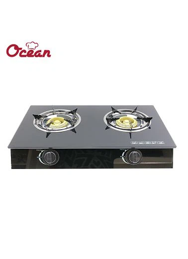 Gas Stove
